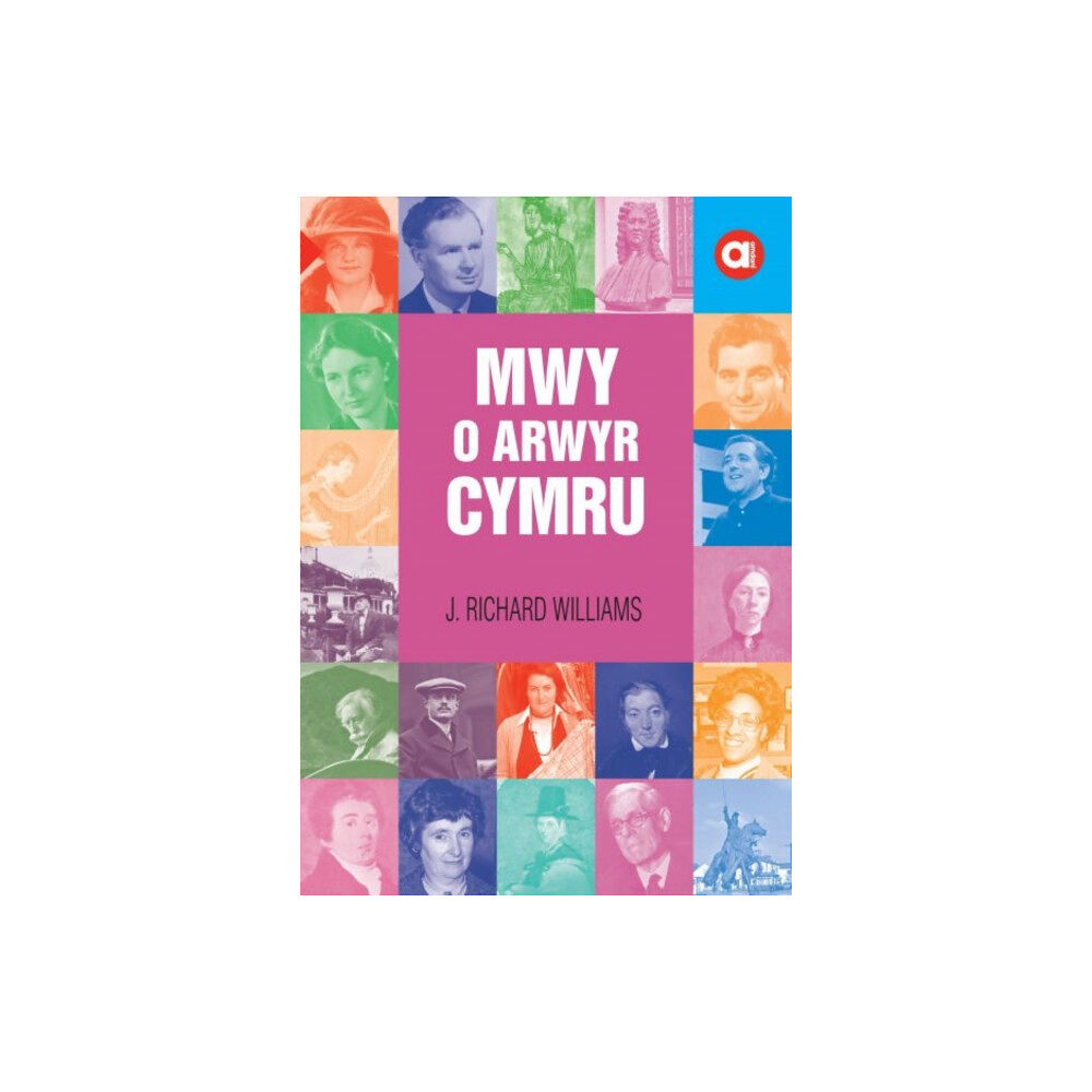 Gwasg Carreg Gwalch Cyfres Amdani: Mwy o Arwyr Cymru (häftad, wel)