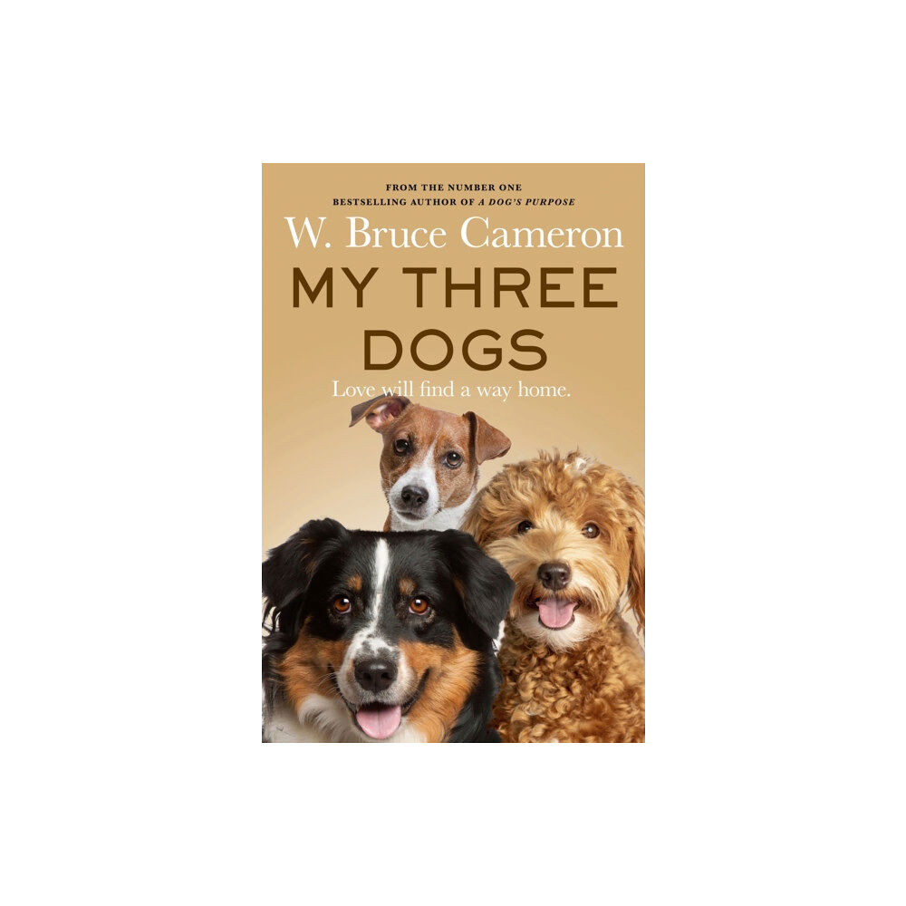 Pan Macmillan My Three Dogs (häftad, eng)