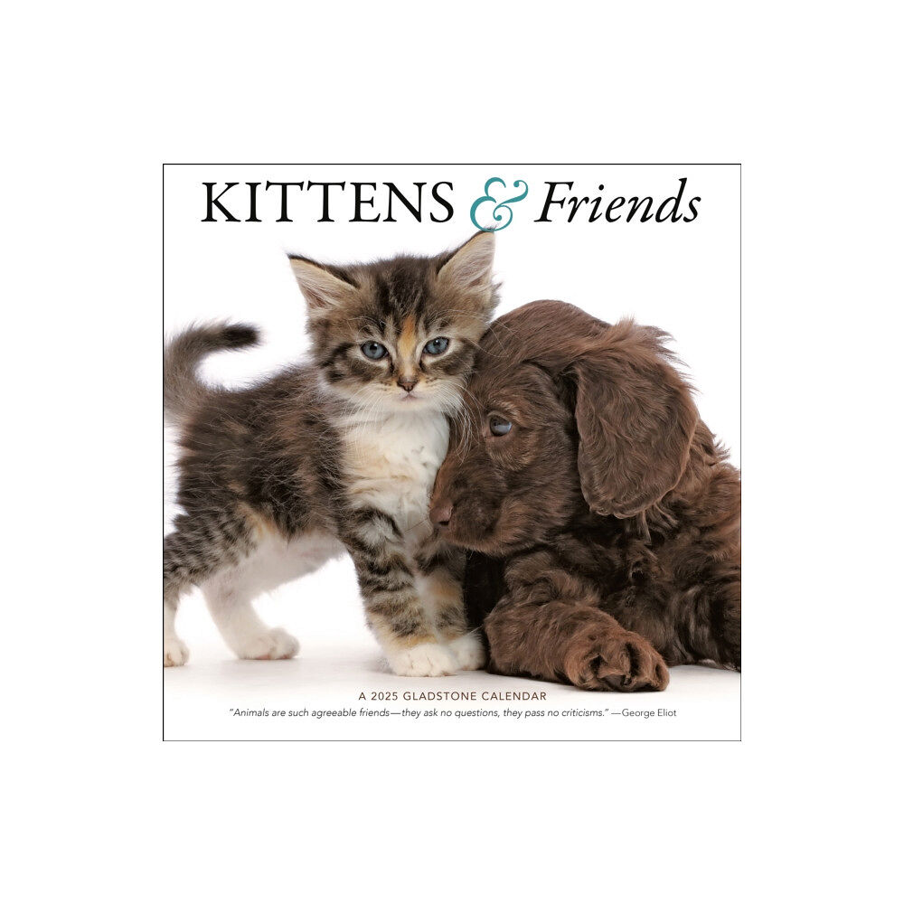 Gladstone Media Kittens & Friends Square Wall Calendar 2025