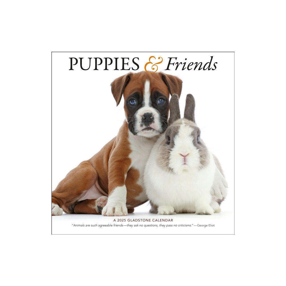 Gladstone Media Puppies & Friends Square Wall Calendar 2025