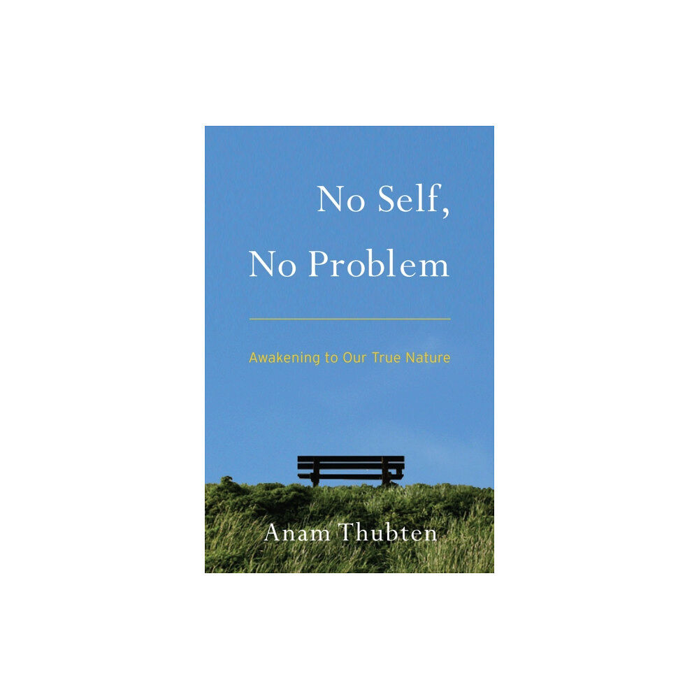 Shambhala Publications Inc No Self, No Problem (häftad, eng)