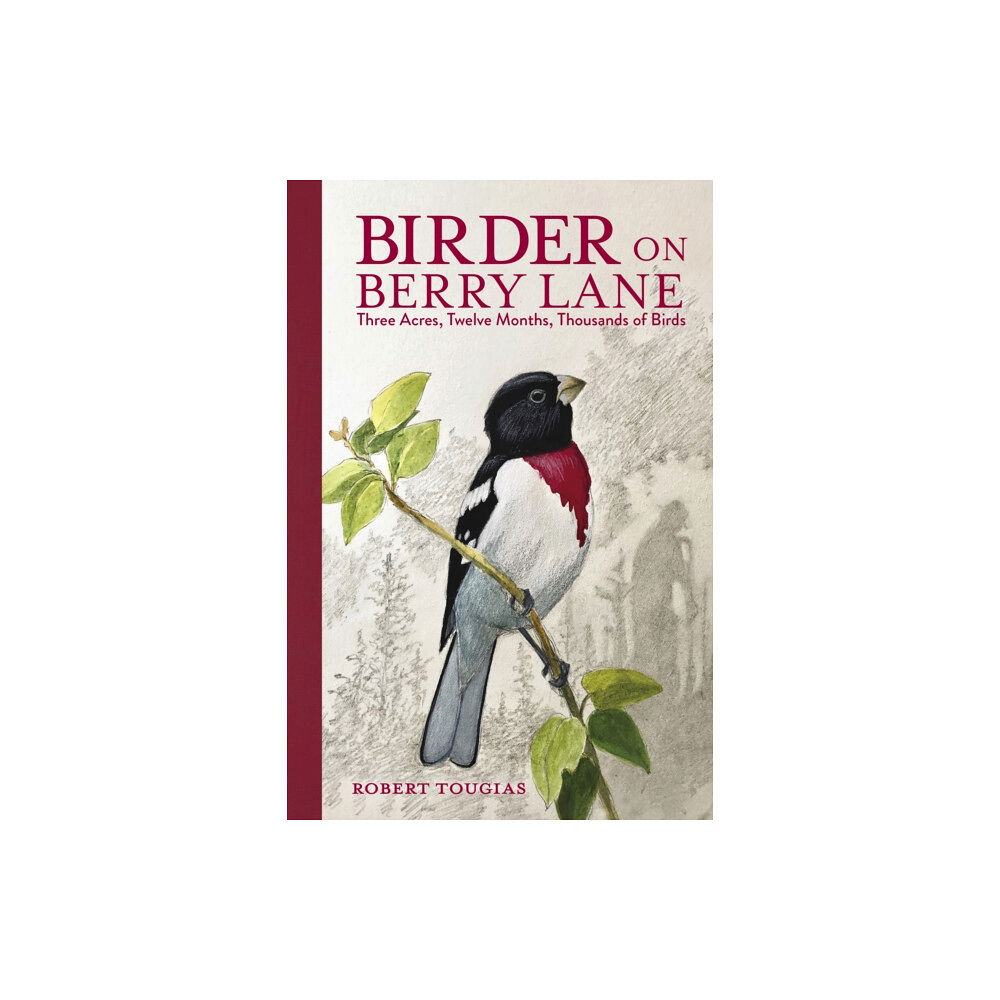 Charlesbridge Publishing,U.S. Birder on Berry Lane (inbunden, eng)