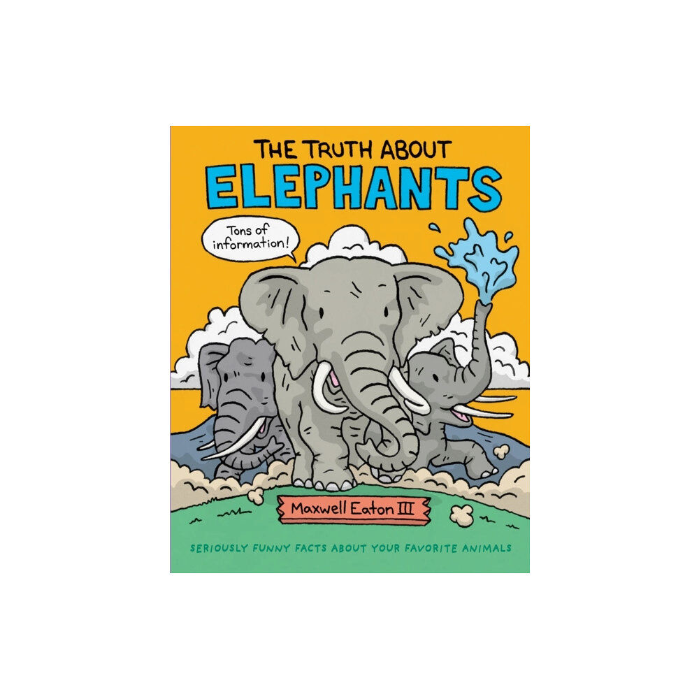 Roaring Brook Press The Truth About Elephants (inbunden, eng)