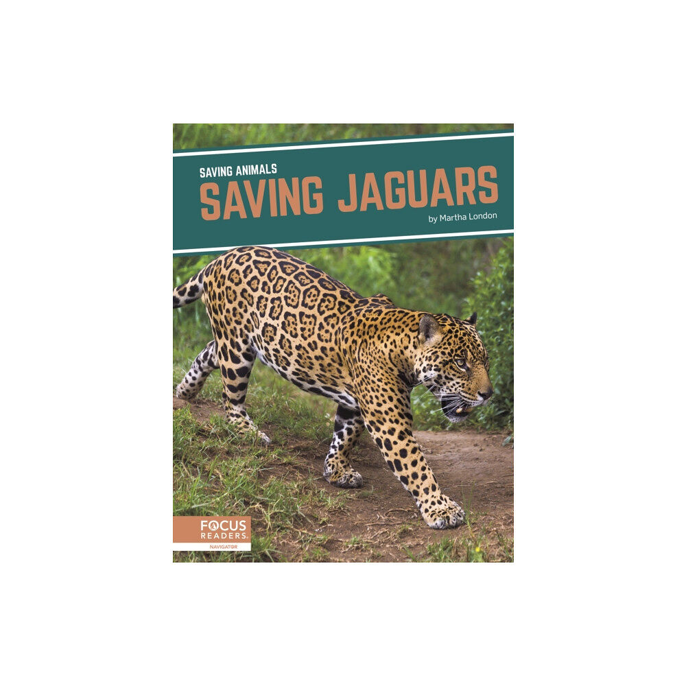 North Star Editions Saving Animals: Saving Jaguars (inbunden, eng)