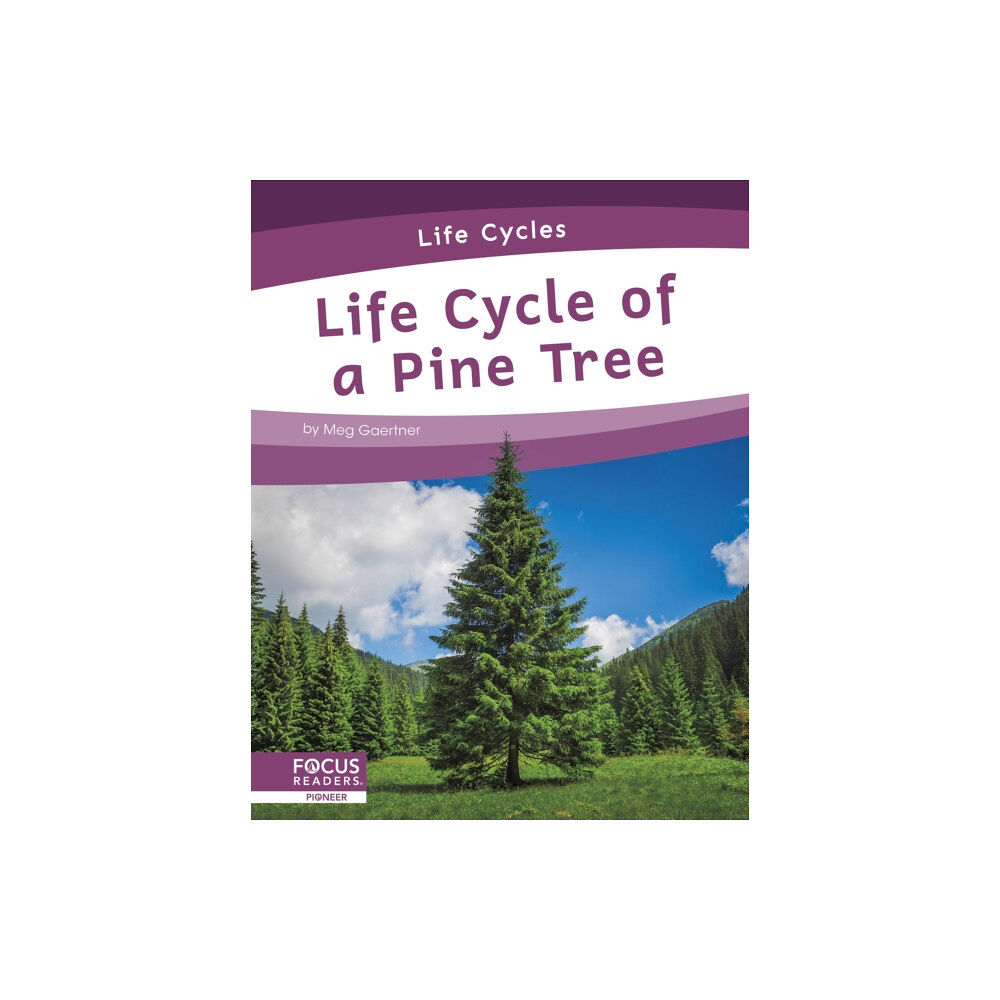 North Star Editions Life Cycles: Life Cycle of a Pine Tree (inbunden, eng)