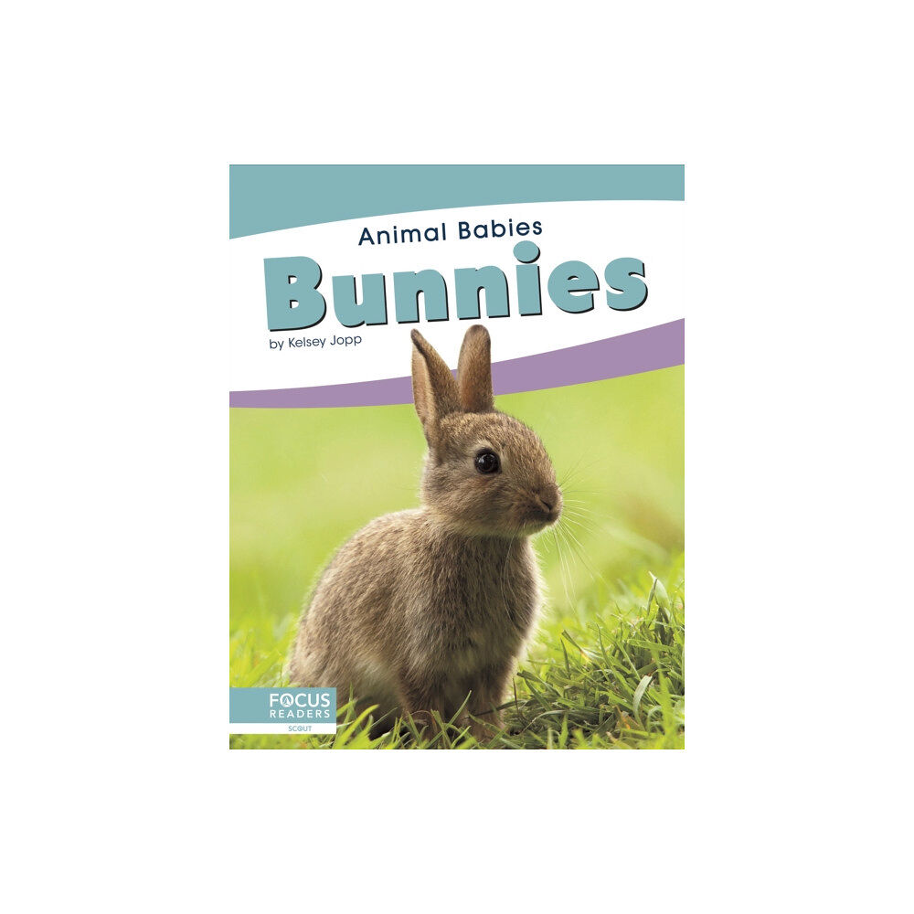 North Star Editions Animal Babies: Bunnies (inbunden, eng)