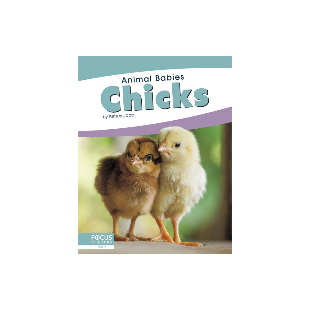 North Star Editions Animal Babies: Chicks (inbunden, eng)