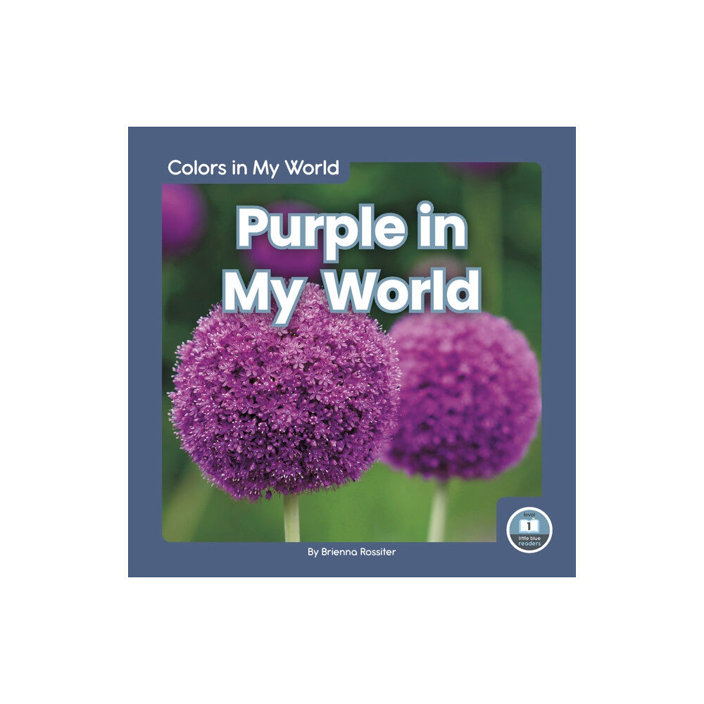 North Star Editions Colors in My World: Purple in My World (inbunden, eng)