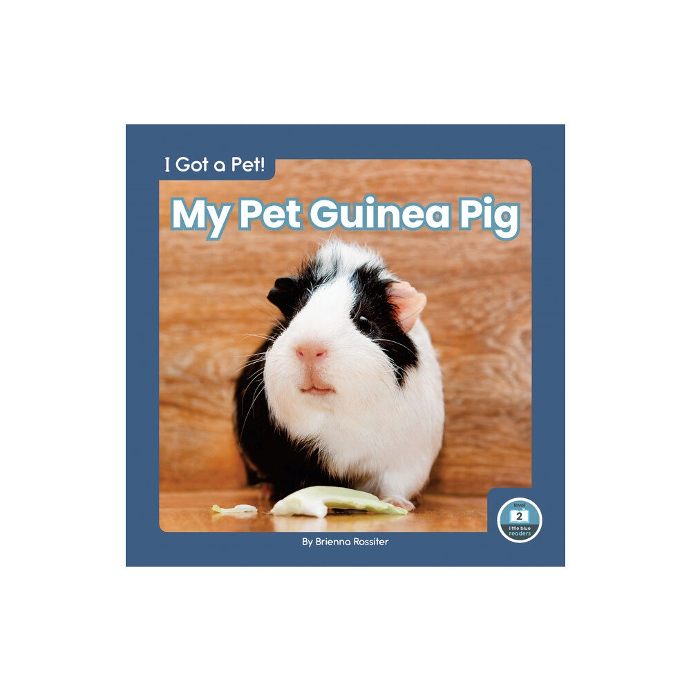 North Star Editions I Got a Pet! My Pet Guinea Pig (inbunden, eng)