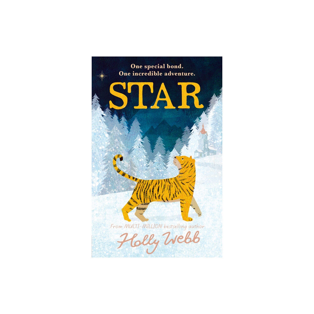 Little Tiger Press Group Star (häftad, eng)