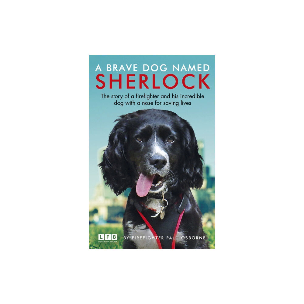 Cornerstone A Brave Dog Named Sherlock (häftad, eng)