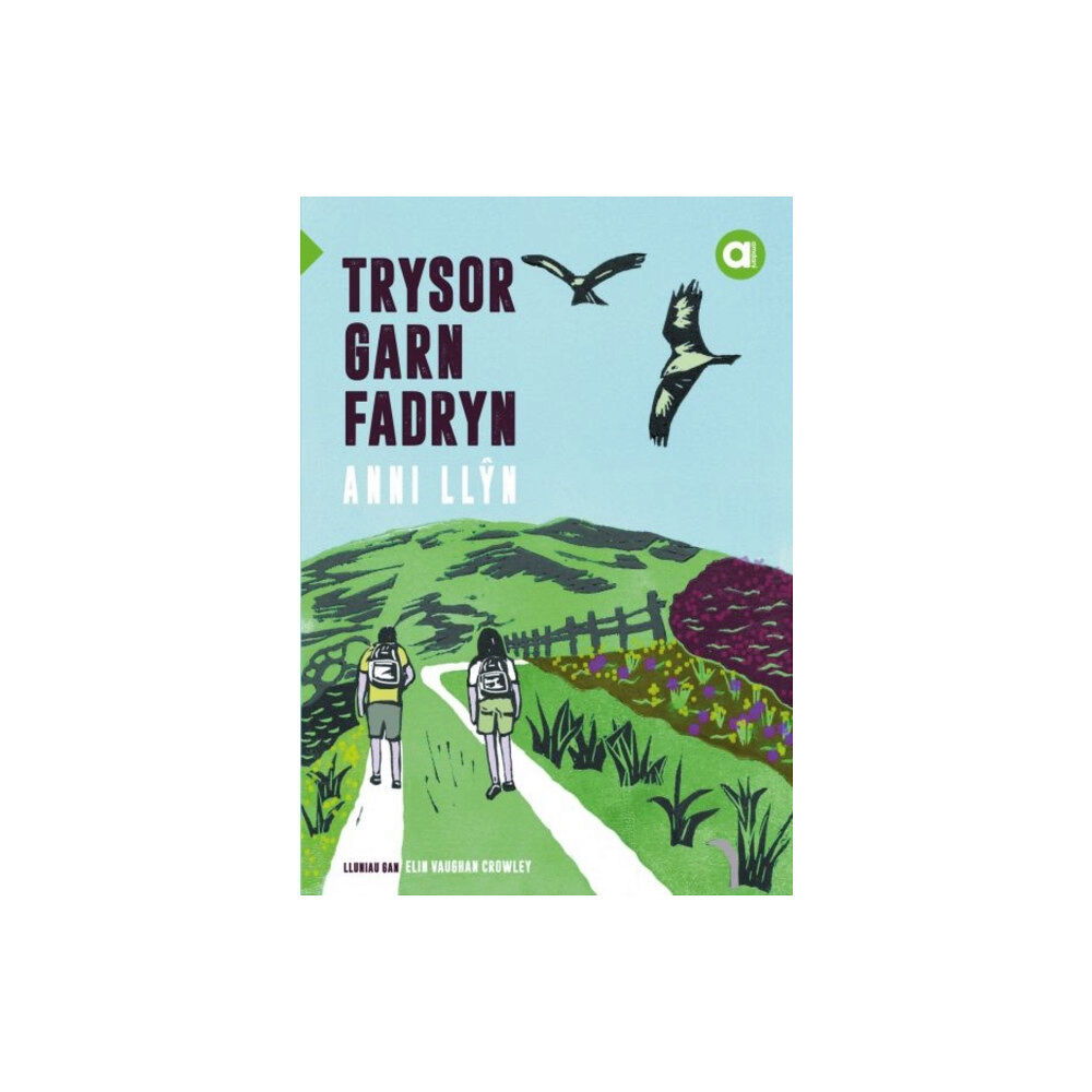 Gwasg Carreg Gwalch Cyfres Amdani: Trysor Garn Fadryn (häftad, wel)