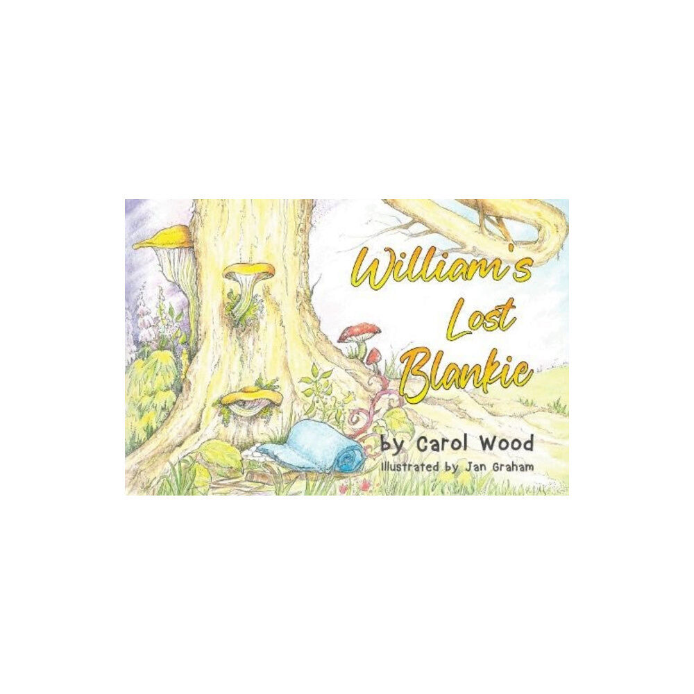 Pegasus Elliot Mackenzie Publishers William's Lost Blankie (häftad, eng)