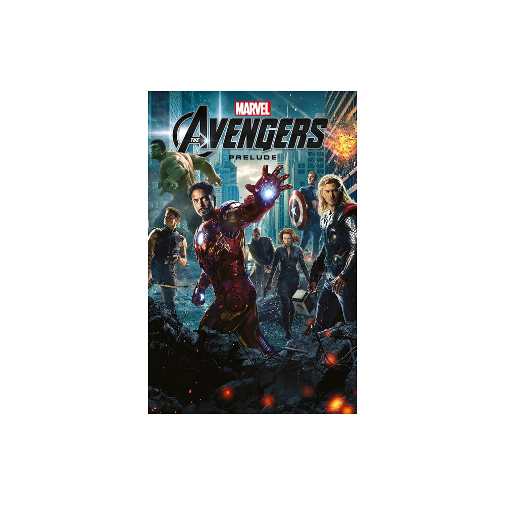 Panini Publishing Ltd Marvel Cinematic Collection Vol. 2: The Avengers Prelude (häftad, eng)