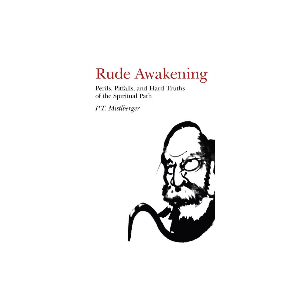 Collective Ink Rude Awakening – Perils, Pitfalls, and Hard Truths of the Spiritual Path (häftad, eng)