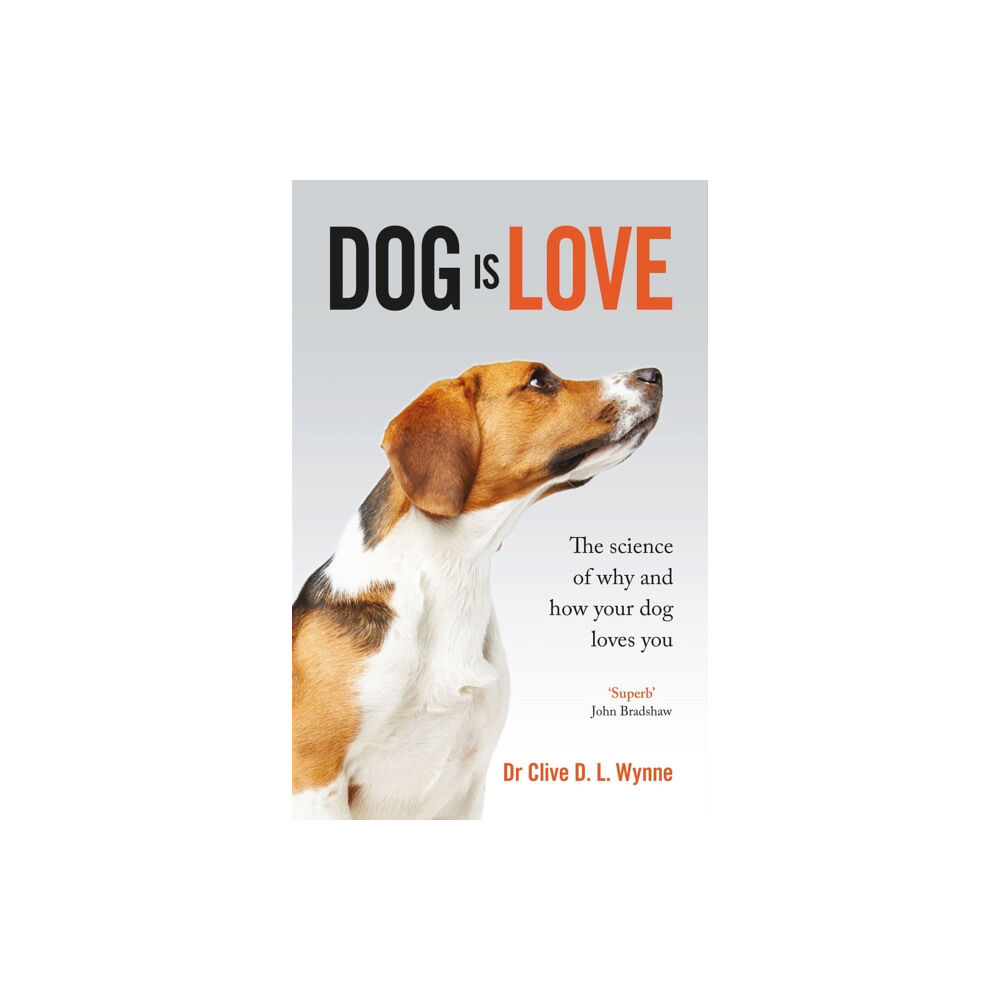 Quercus Publishing Dog is Love (häftad, eng)