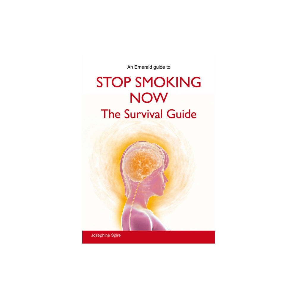 Straightforward Publishing Stop Smoking Now (häftad, eng)