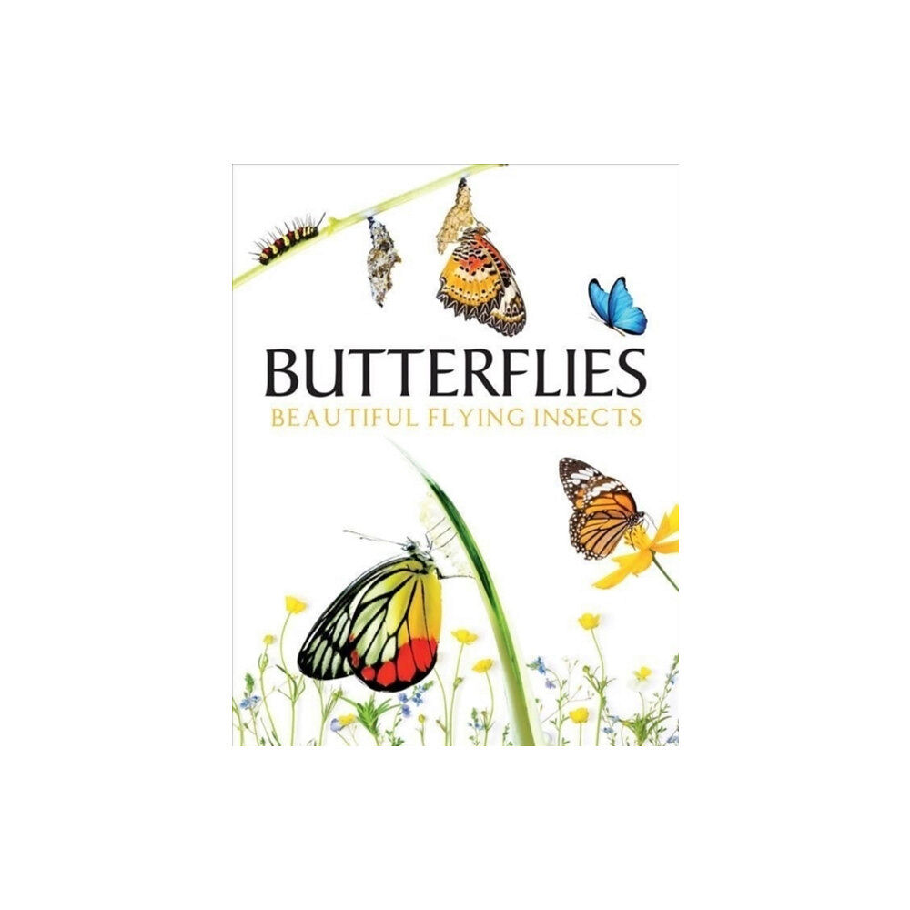 Amber Books Ltd Butterflies (inbunden, eng)