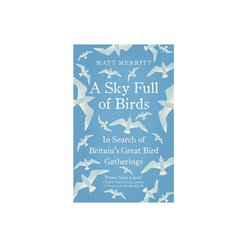 Ebury Publishing A Sky Full of Birds (häftad, eng)