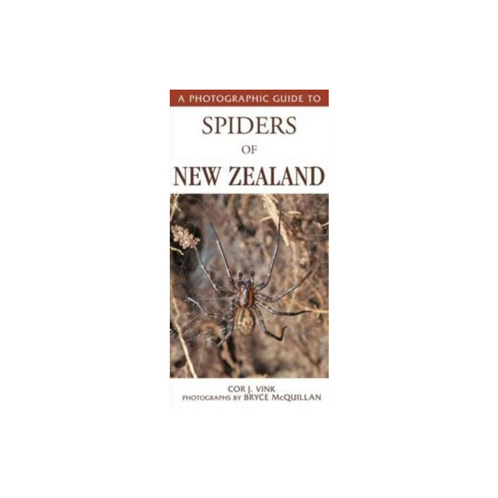 Upstart Press Ltd Photographic Guide To Spiders Of New Zealand (häftad, eng)