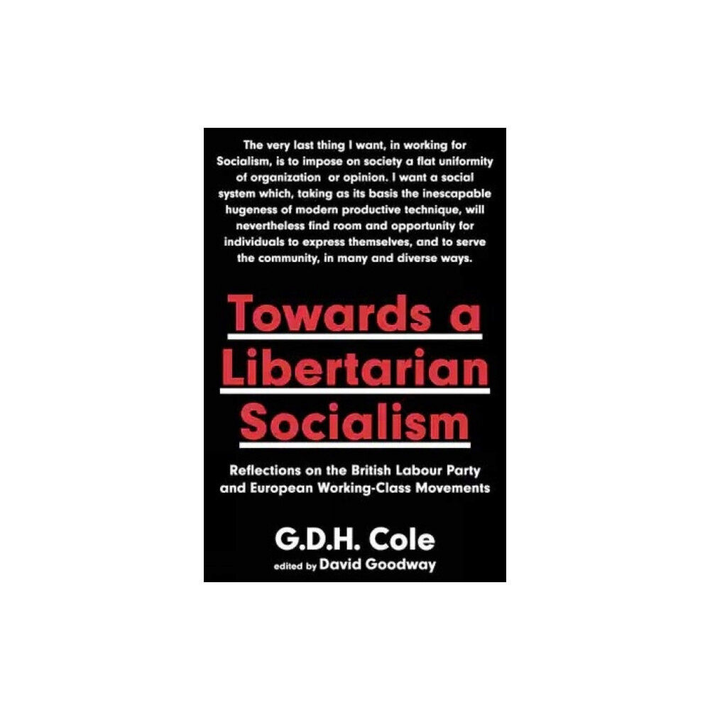 AK Press Towards A Libertarian Socialism (häftad, eng)