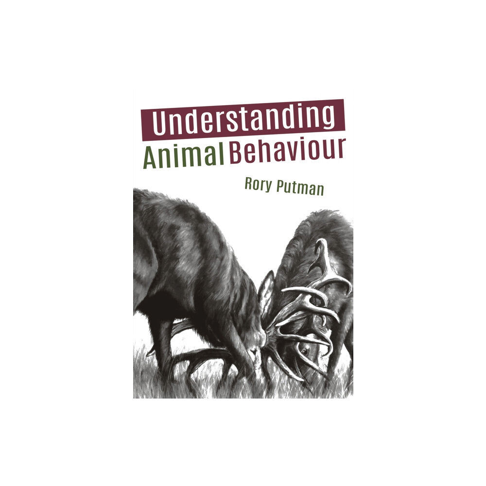 Whittles Publishing Understanding Animal Behaviour (häftad, eng)