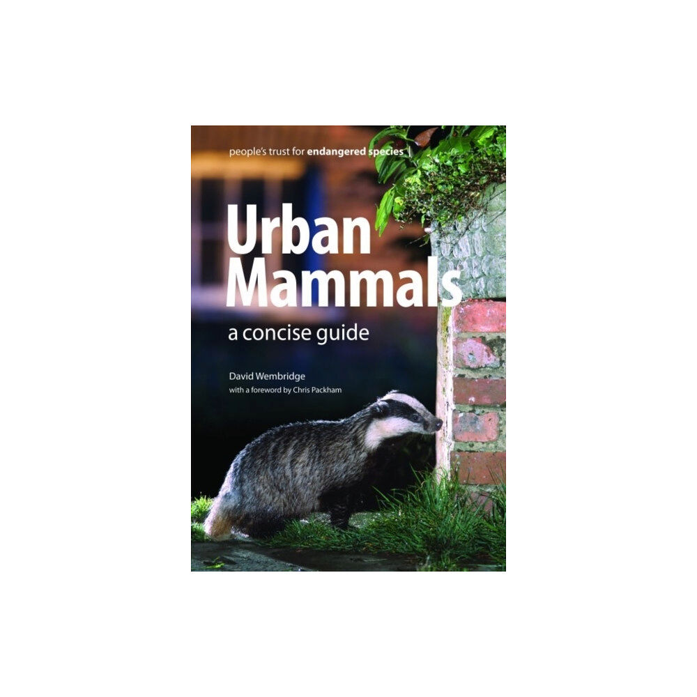 Whittet Books Ltd Urban Mammals (häftad, eng)