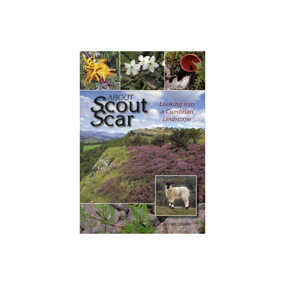 Carnegie Publishing Ltd About Scout Scar (häftad, eng)