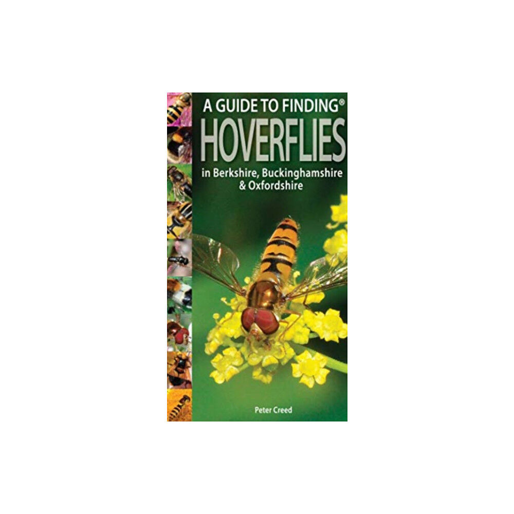 Pisces Publications A Guide to Finding Hoverflies in Berkshire, Buckinghamshire and Oxfordshire (häftad, eng)