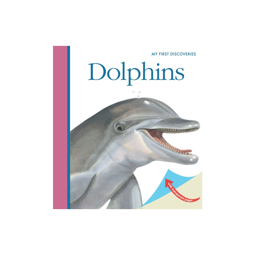 Moonlight Publishing Ltd Dolphins (bok, spiral, eng)