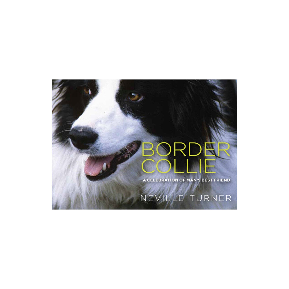 Dalesman Publishing Co Ltd Border Collie (inbunden, eng)