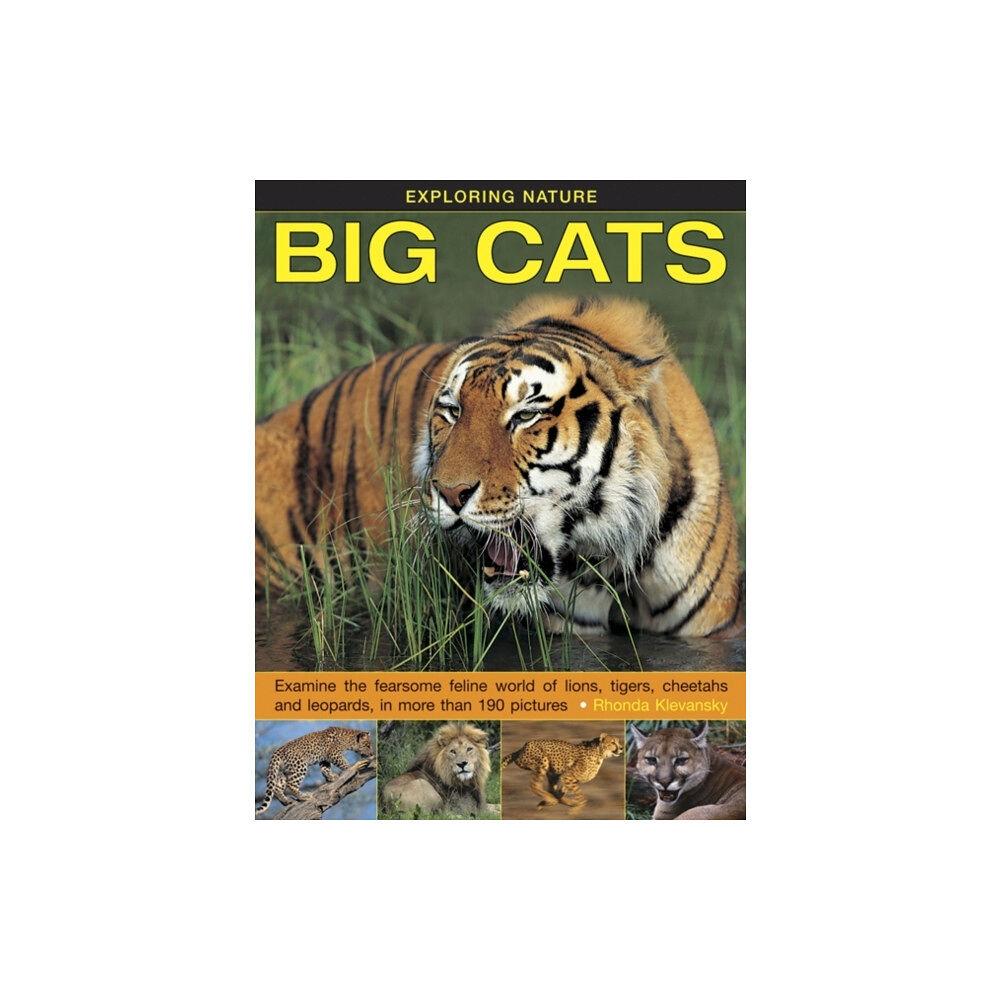 Anness publishing Exploring Nature: Big Cats (inbunden, eng)