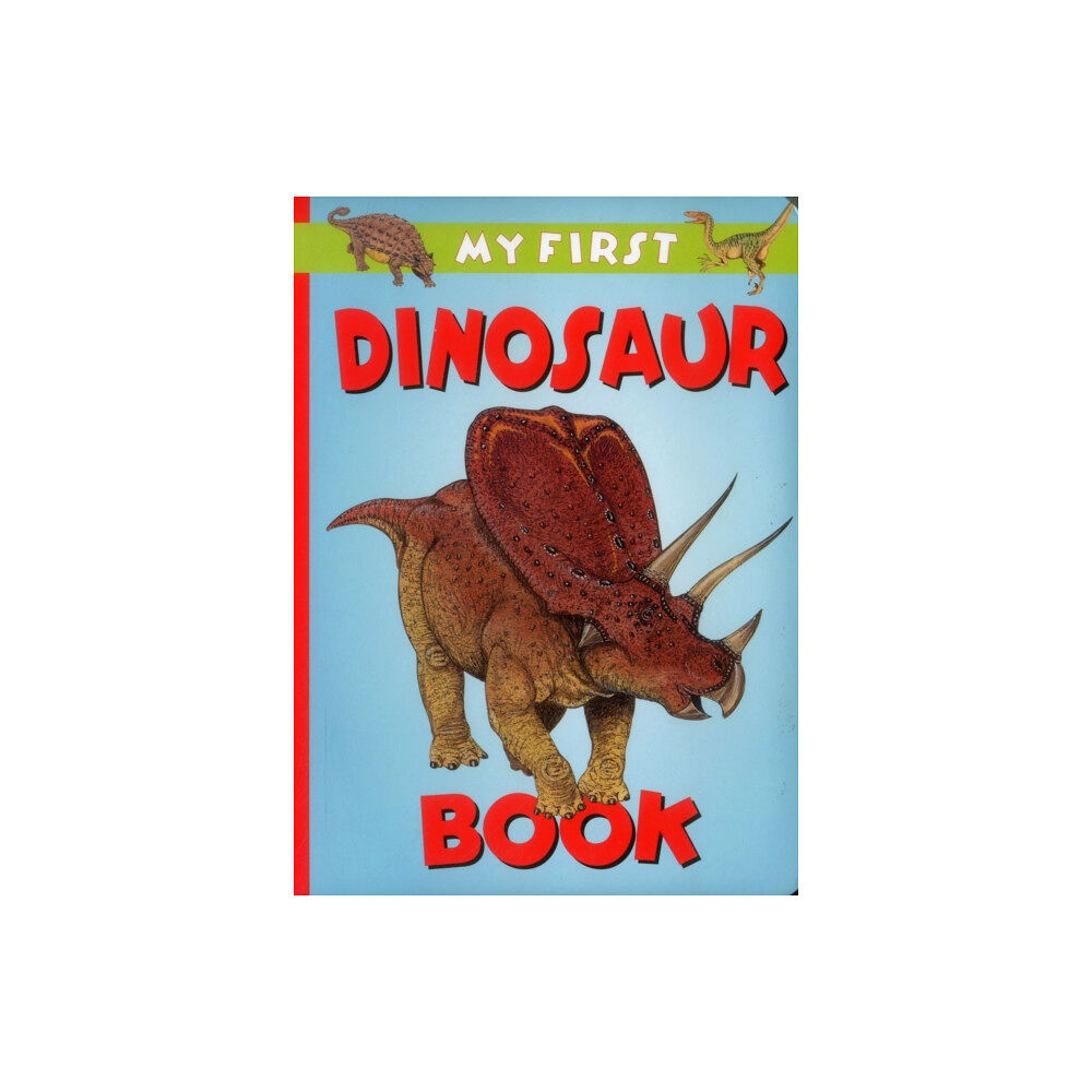 Anness publishing My First Dinosaur Book (bok, board book, eng)