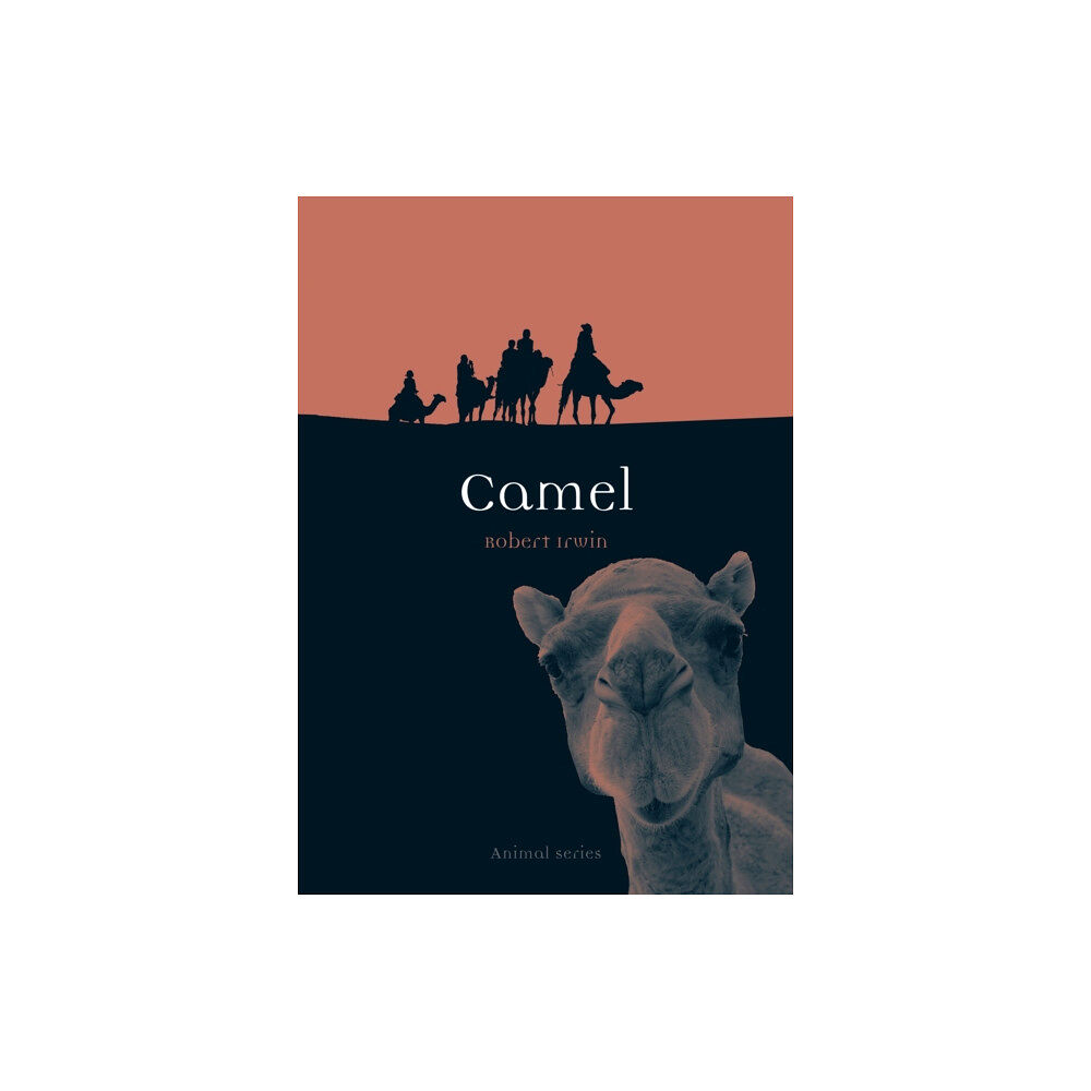 Reaktion Books Camel (häftad, eng)