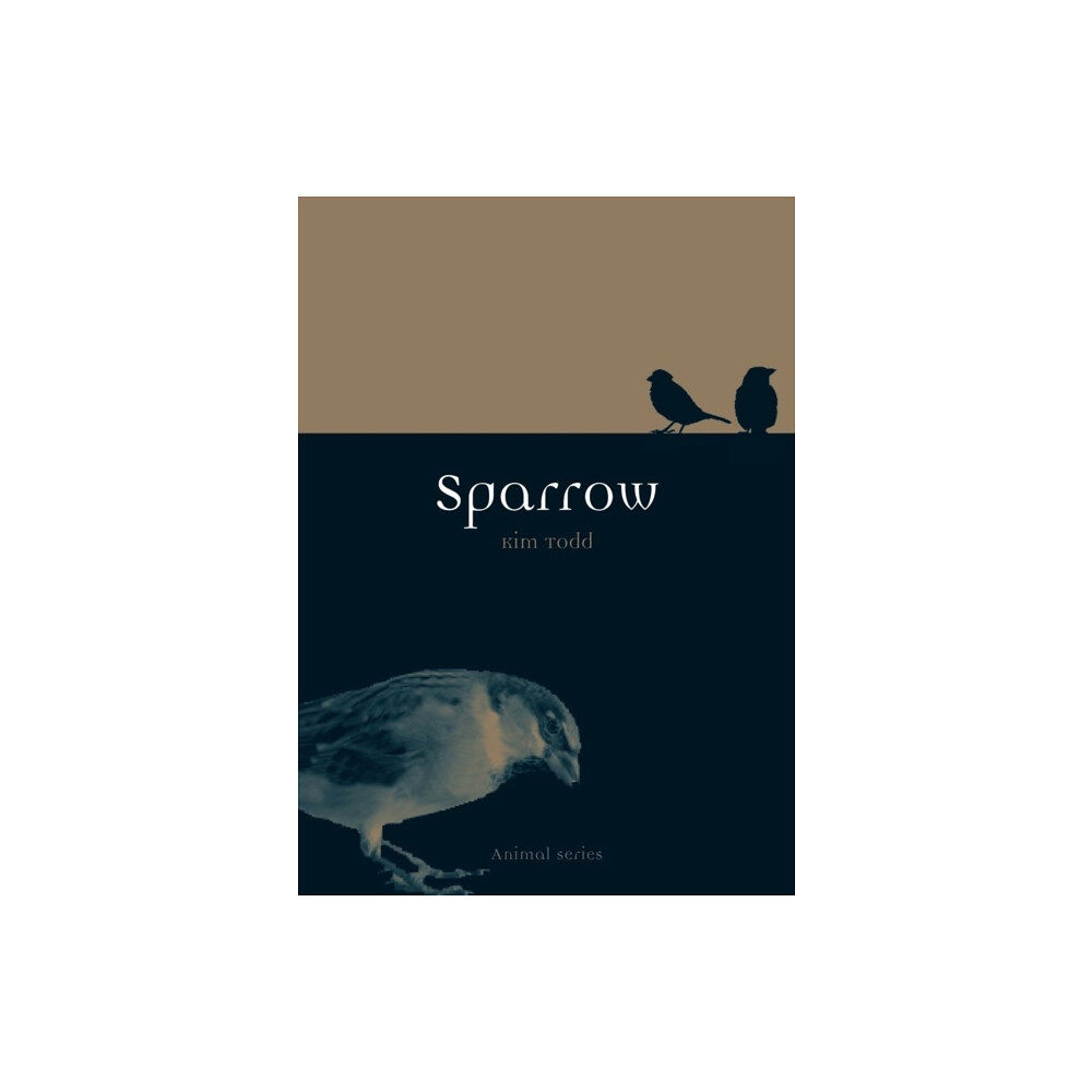 Reaktion Books Sparrow (häftad, eng)