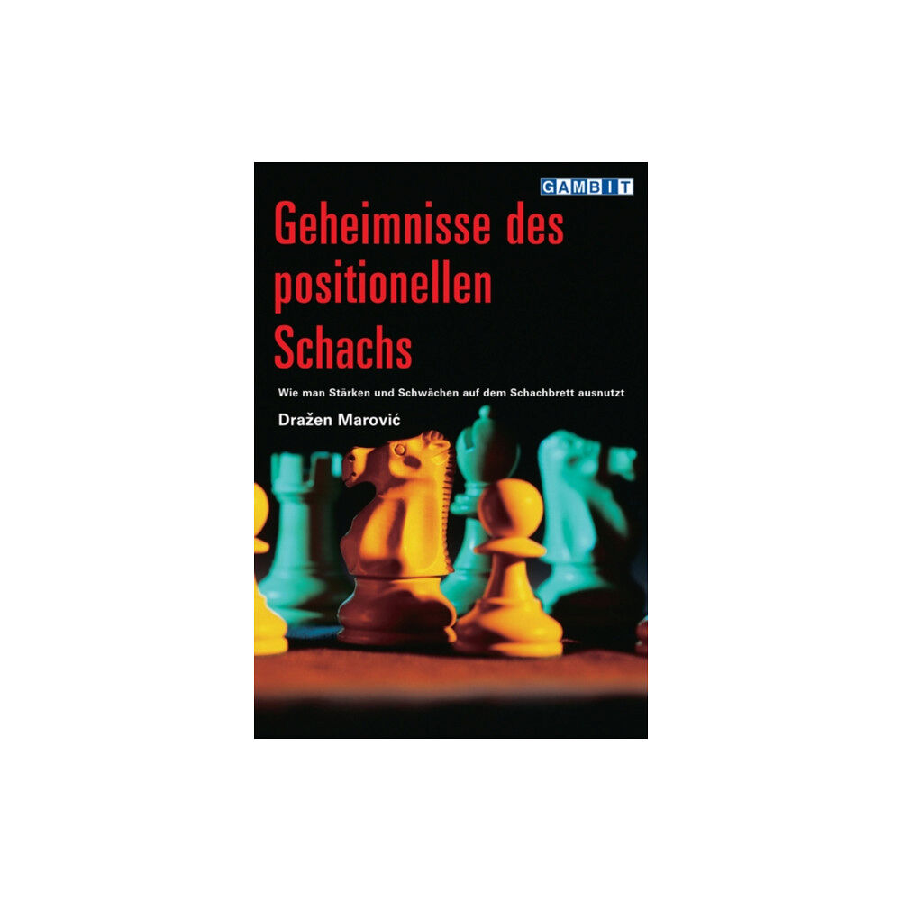 Gambit Publications Ltd Geheimnisse Des Positionellen Schachs (häftad, ger)