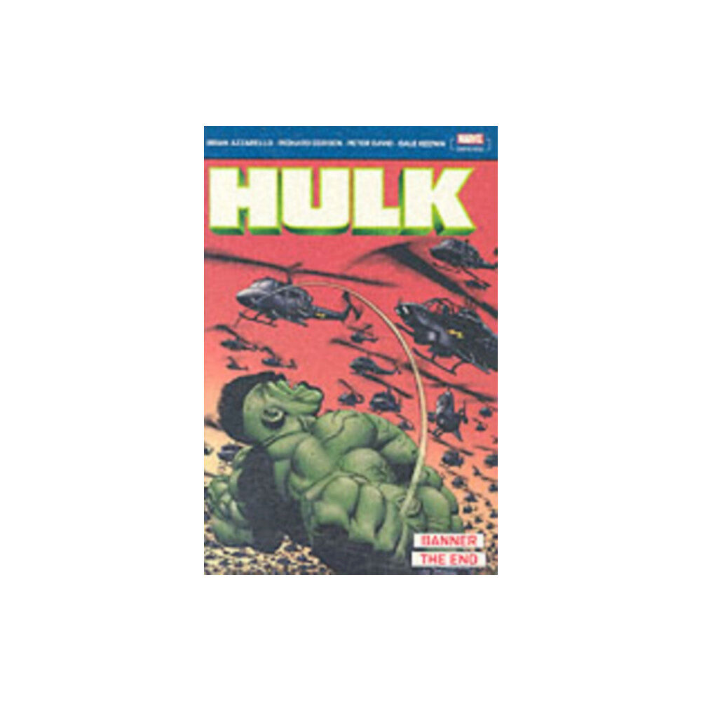 Panini Publishing Ltd Incredible Hulk: Banner & The End (häftad, eng)