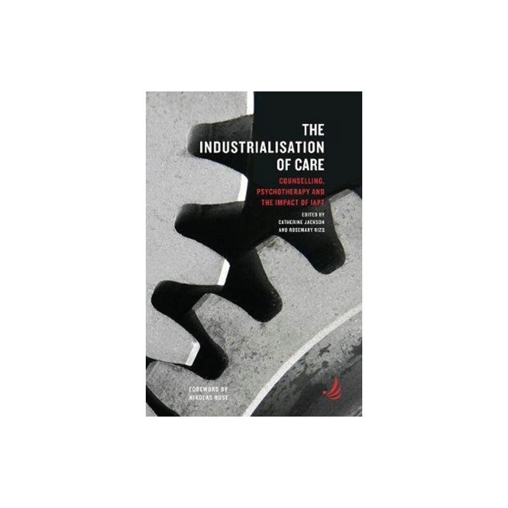 PCCS Books The Industrialisation of Care (häftad, eng)