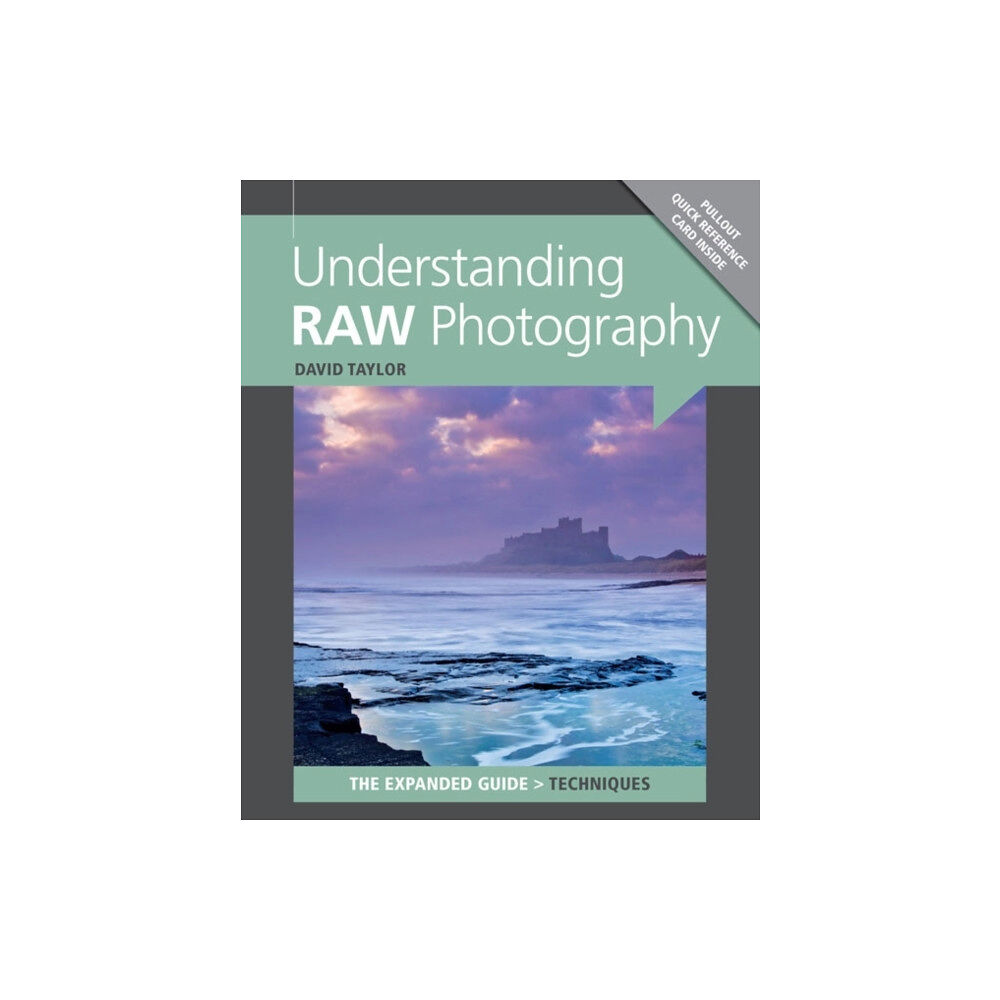 GMC Publications Understanding RAW Photography (häftad, eng)