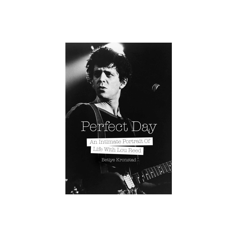 Outline Press Ltd Perfect Day (häftad, eng)