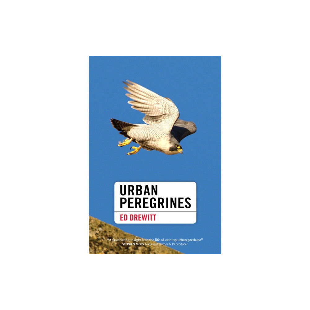 Pelagic Publishing Urban Peregrines (inbunden, eng)