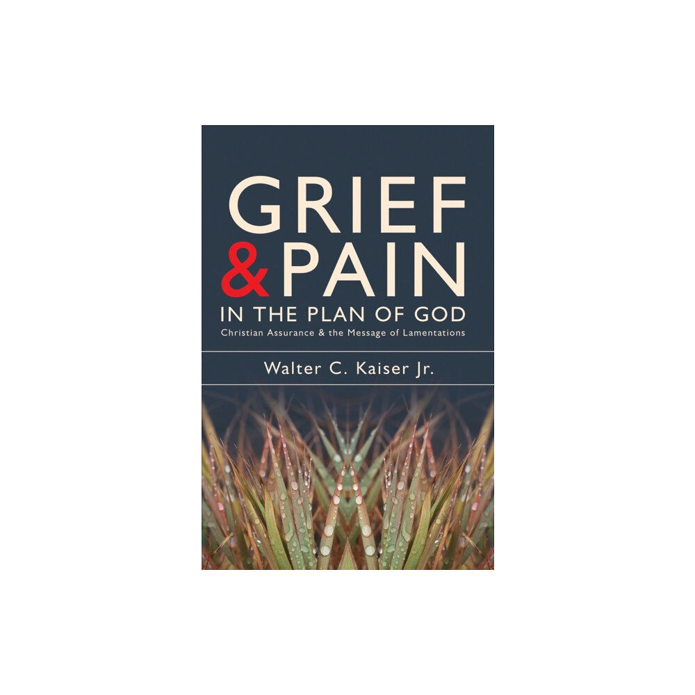 Christian Focus Publications Ltd Grief and Pain in the Plan of God (häftad, eng)