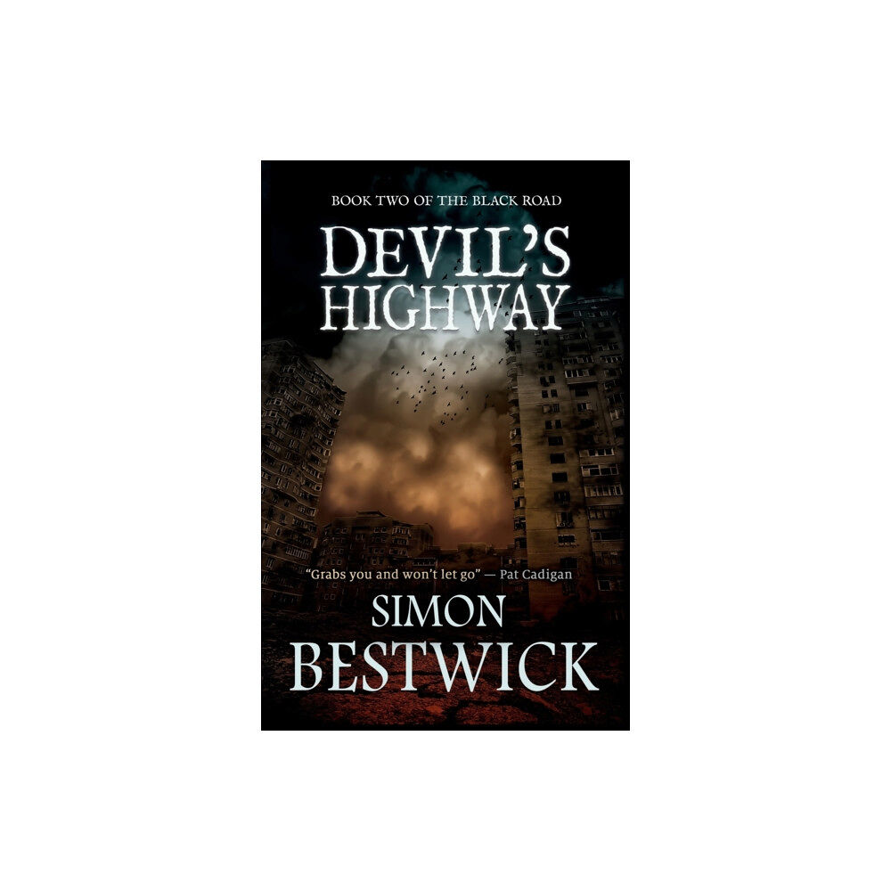 Snowbooks Ltd Devil's Highway (häftad, eng)