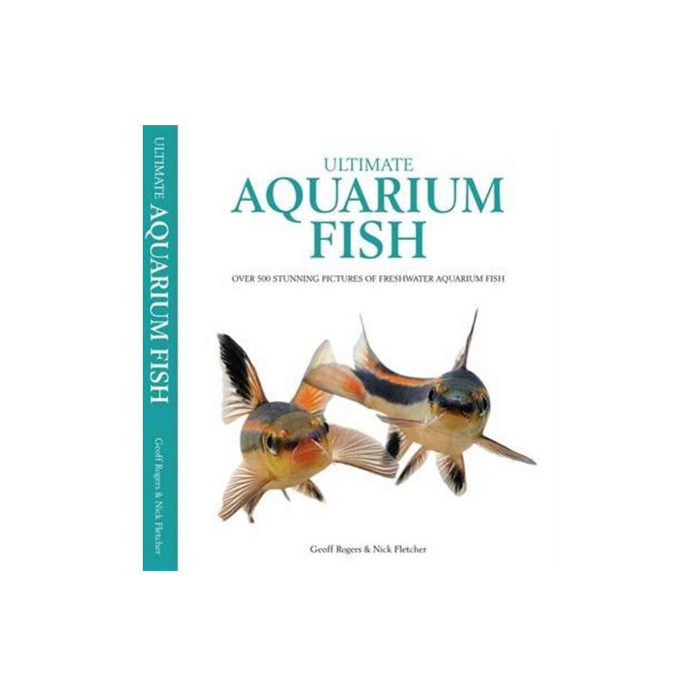 Interpet Publishing Ultimate Aquarium Fish (inbunden)