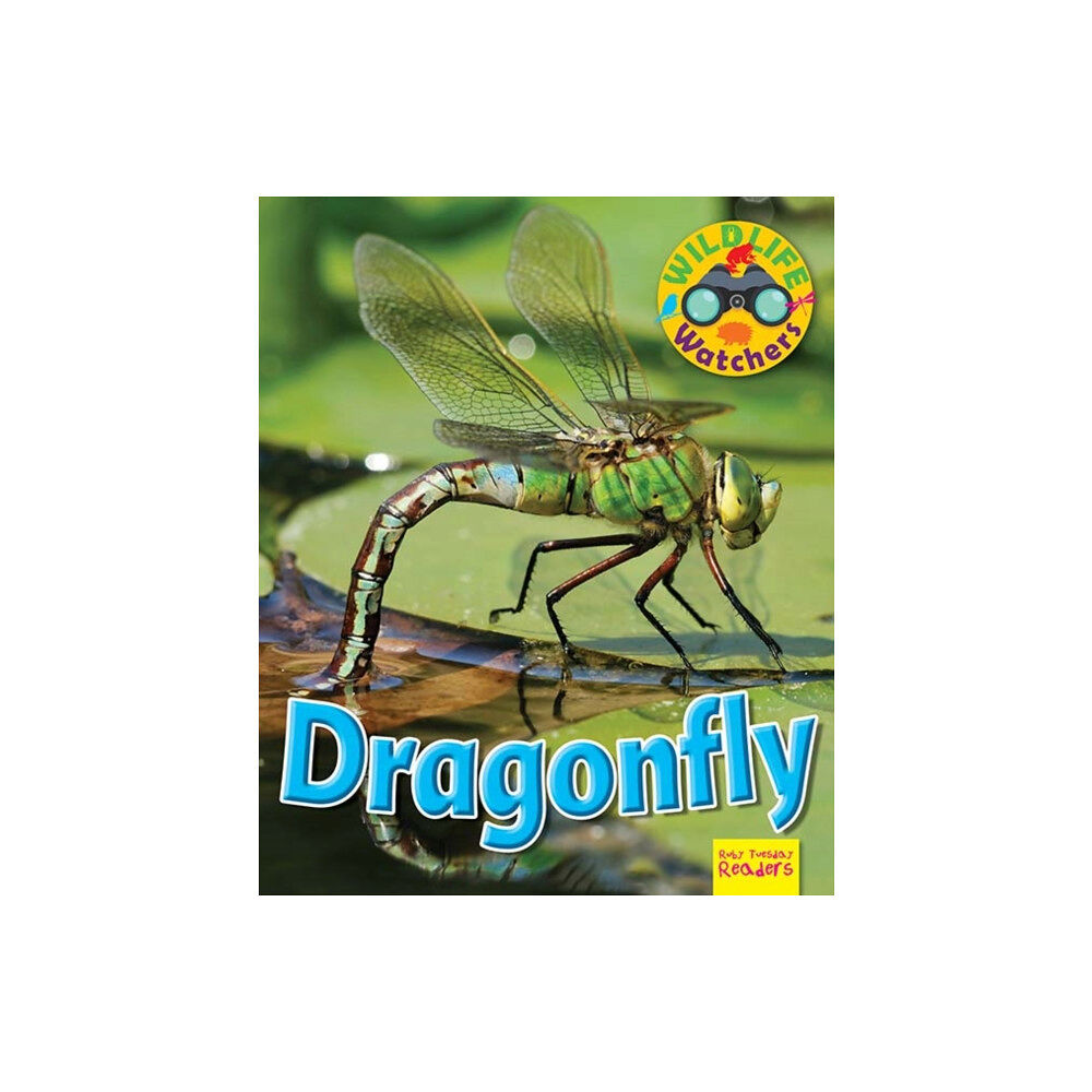 Ruby Tuesday Books Ltd Wildlife Watchers: Dragonfly (häftad, eng)