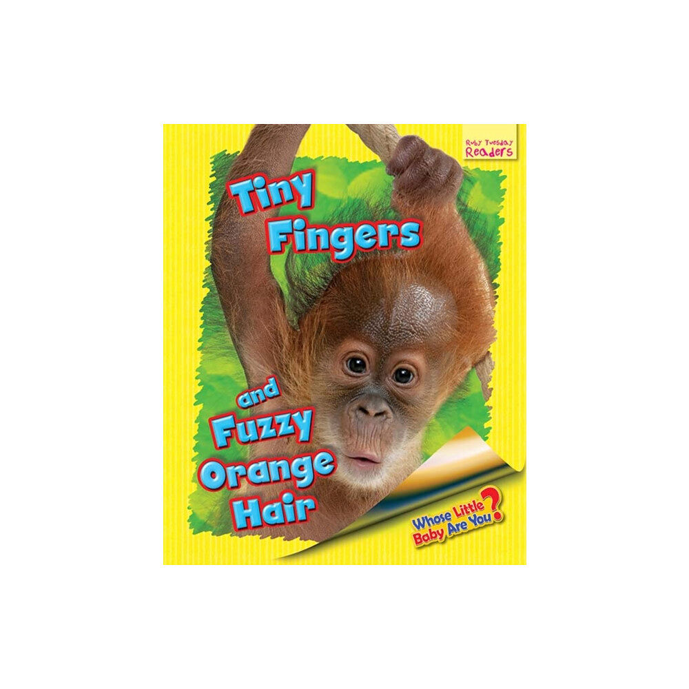 Ruby Tuesday Books Ltd Whose Little Baby Are You? Tiny Fingers and Fuzzy Orange Hair (häftad, eng)