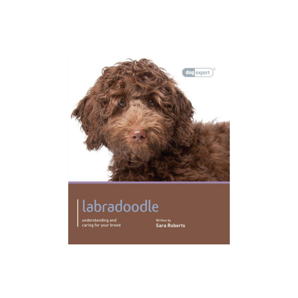 First Stone Publishing Labradoodle - Dog Expert (häftad, eng)