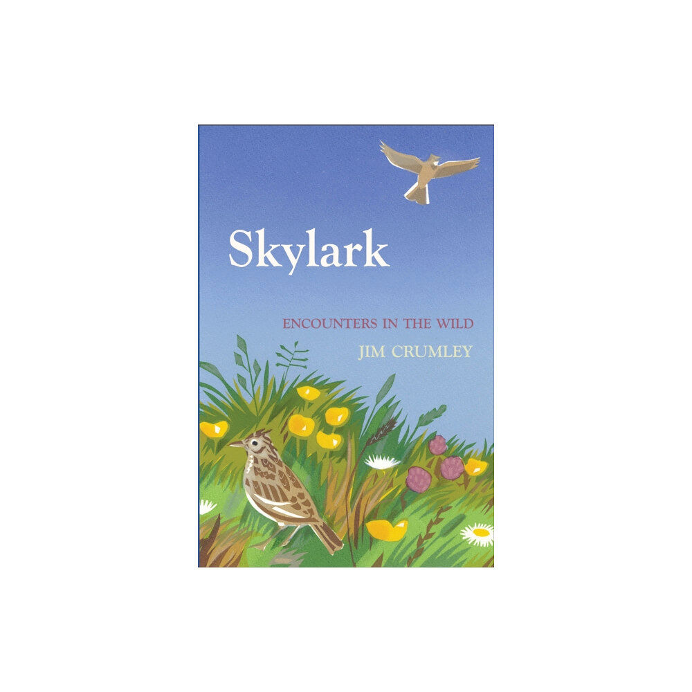 Saraband Skylark (inbunden, eng)