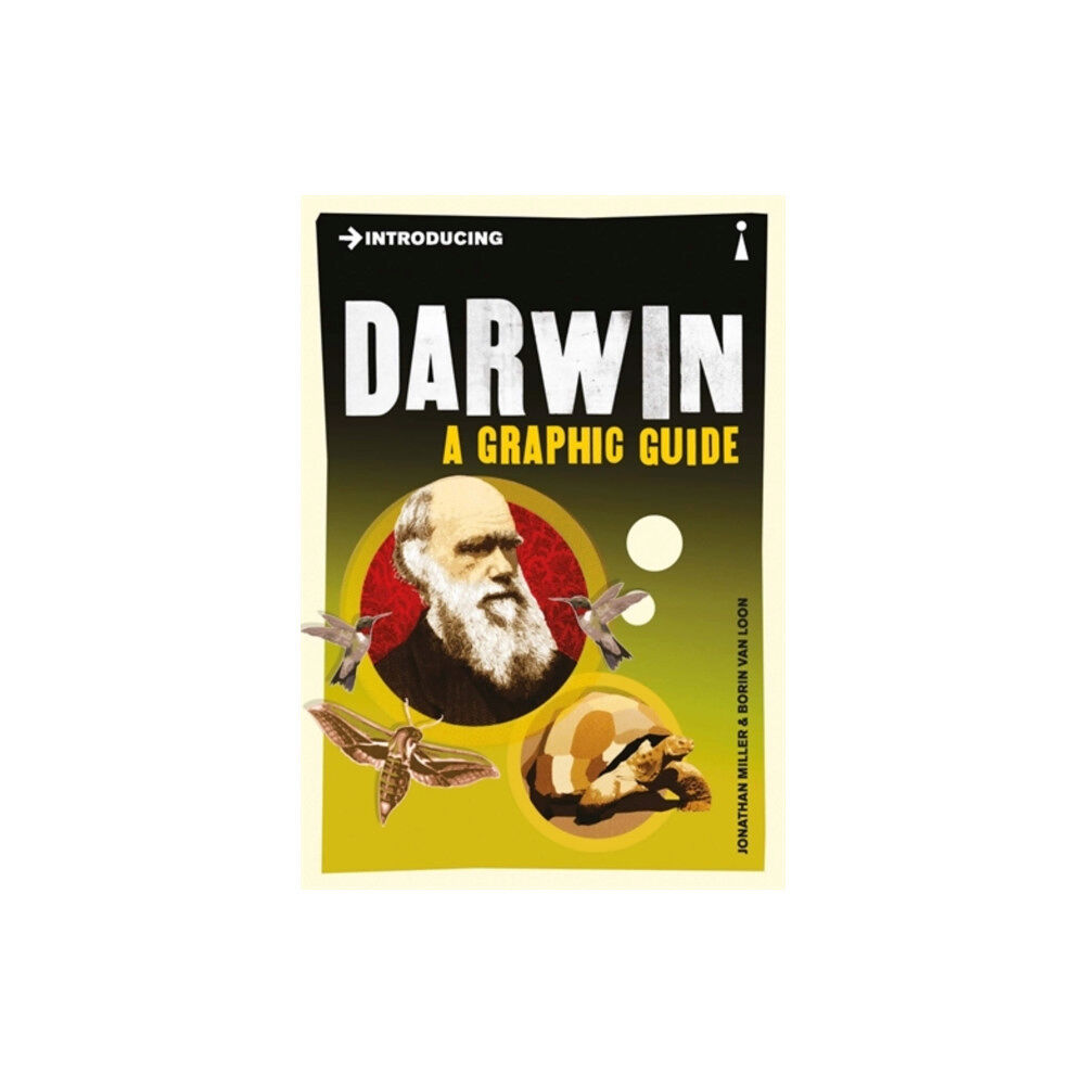 Icon Books Introducing Darwin (häftad, eng)