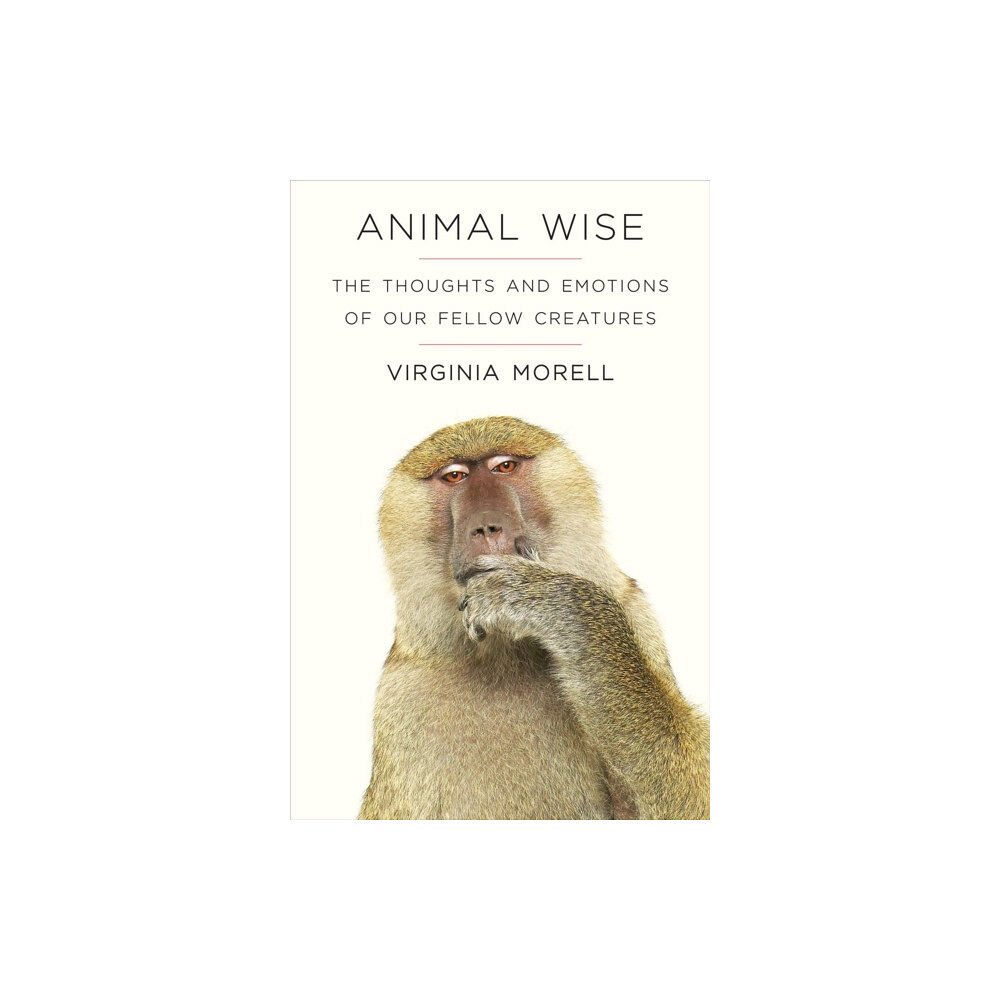 Old Street Publishing Animal Wise (häftad, eng)